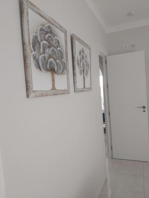 360° Seaview Benalbeach Apartment Benalmádena Kültér fotó